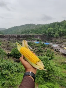 unnamed - 2025-09-23T111412.202